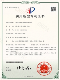 一種籠式多孔降壓降噪調節閥